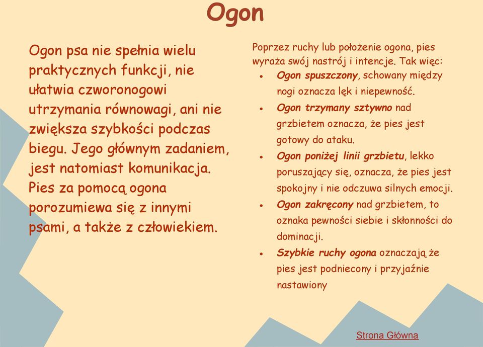 Poprzez ruchy lub położenie ogona, pies wyraża swój nastrój i intencje. Tak więc: Ogon spuszczony, schowany między nogi oznacza lęk i niepewność.