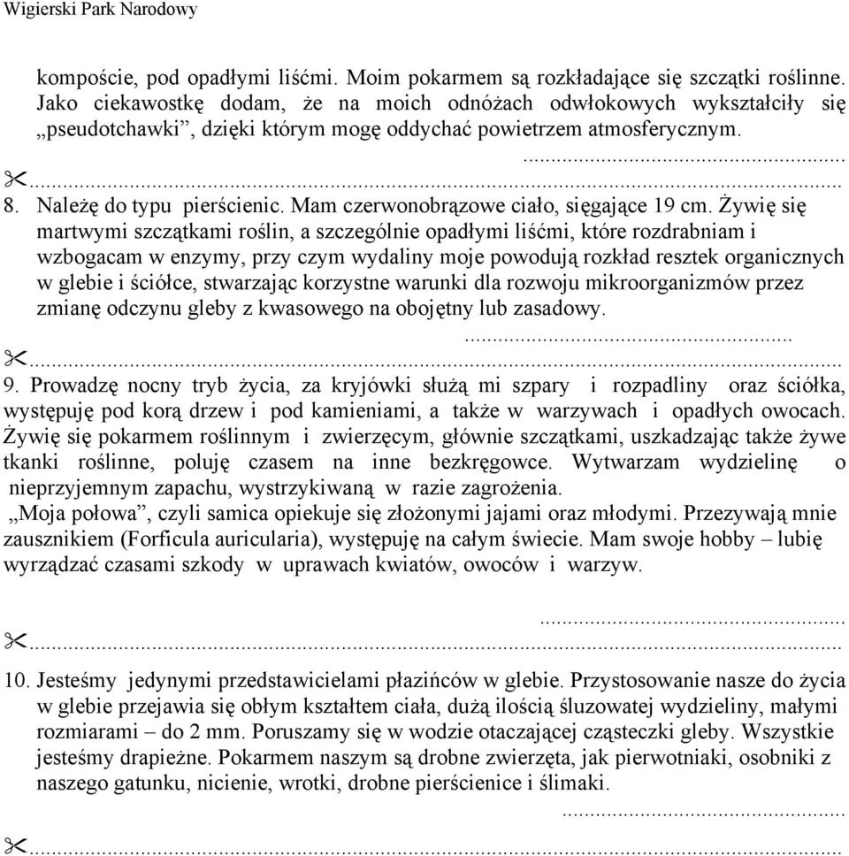 Mam czerwonobrązowe ciało, sięgające 19 cm.