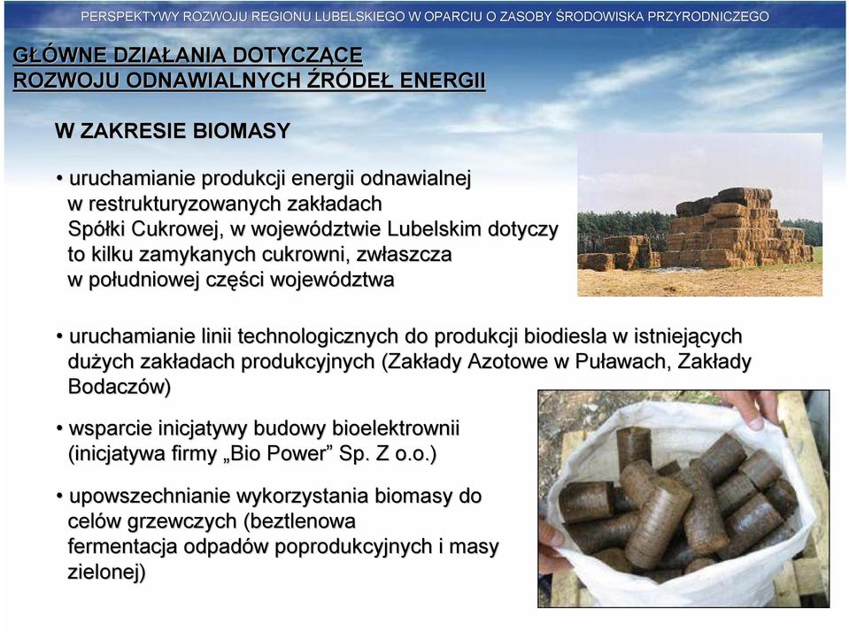 do produkcji biodiesla w istniej tniejących dużych zakładach adach produkcyjnych (Zakłady ady Azotowe w Puławach, Zakłady ady Bodaczów) wsparcie inicjatywy budowy