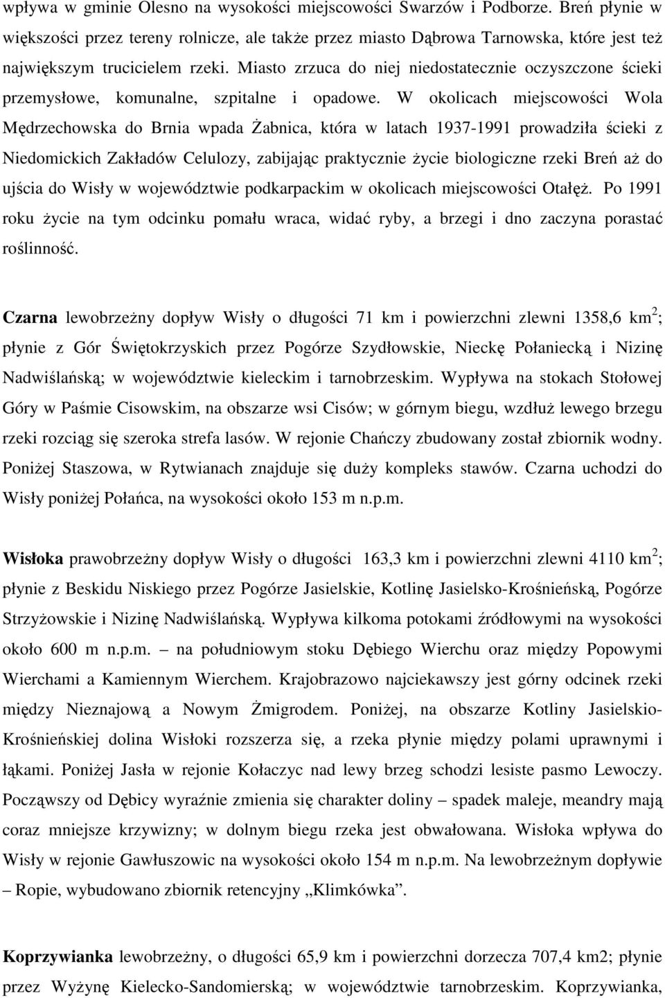 Miasto zrzuca do niej niedostatecznie oczyszczone ścieki przemysłowe, komunalne, szpitalne i opadowe.