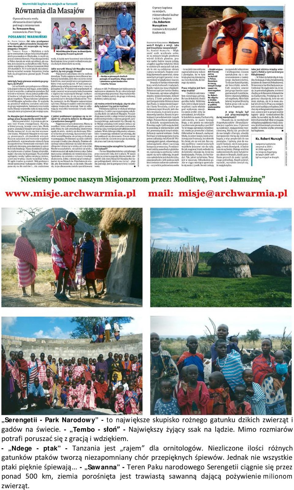 - Ndege - ptak - Tanzania jest rajem dla ornitologów.