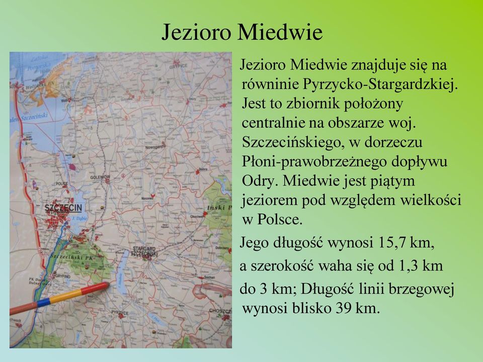 Szczecińskiego, w dorzeczu Płoni-prawobrzeżnego dopływu Odry.