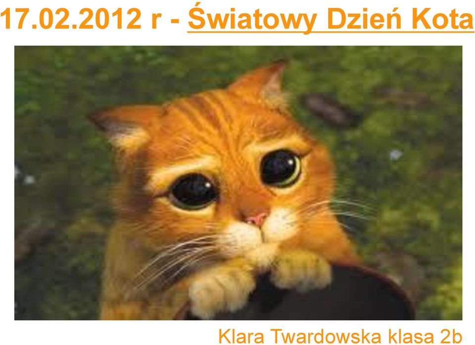 Światowy Dzień