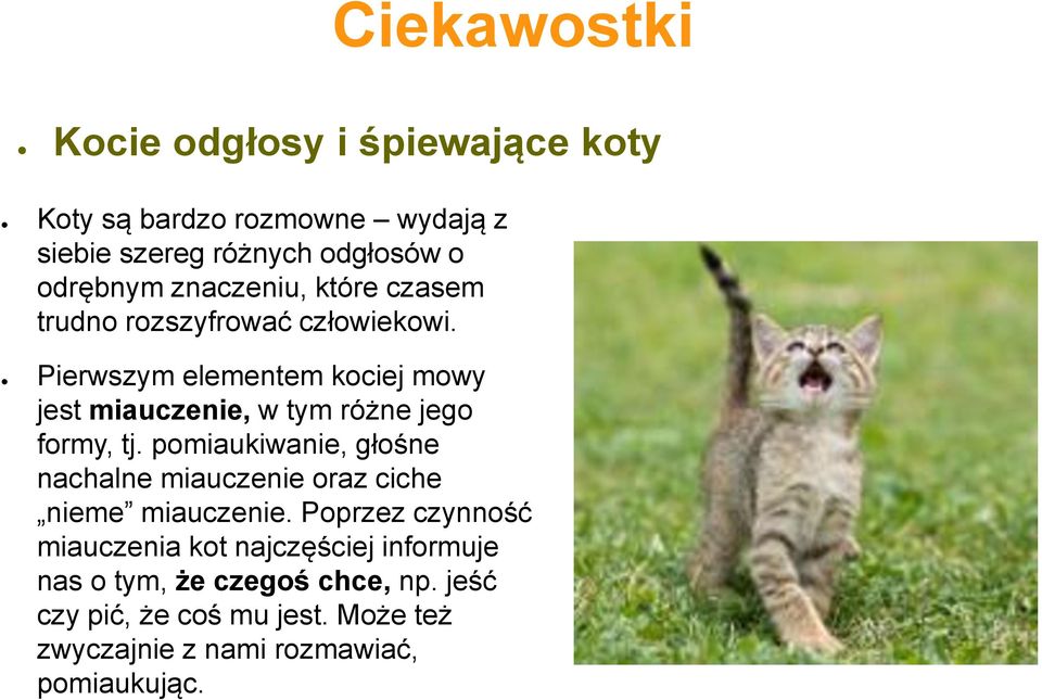 Pierwszym elementem kociej mowy jest miauczenie, w tym różne jego formy, tj.