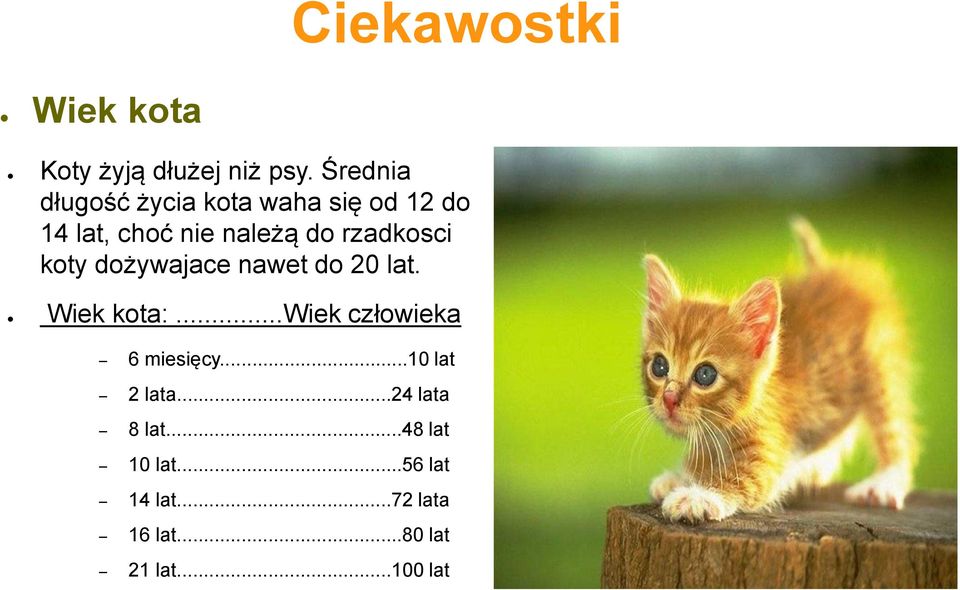 rzadkosci koty dożywajace nawet do 20 lat. Wiek kota:.