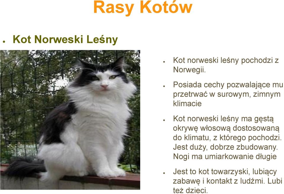 ma gęstą okrywę włosową dostosowaną do klimatu, z którego pochodzi.
