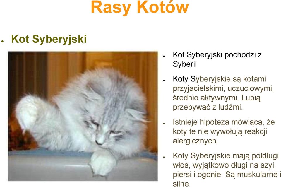 Istnieje hipoteza mówiąca, że koty te nie wywołują reakcji alergicznych.