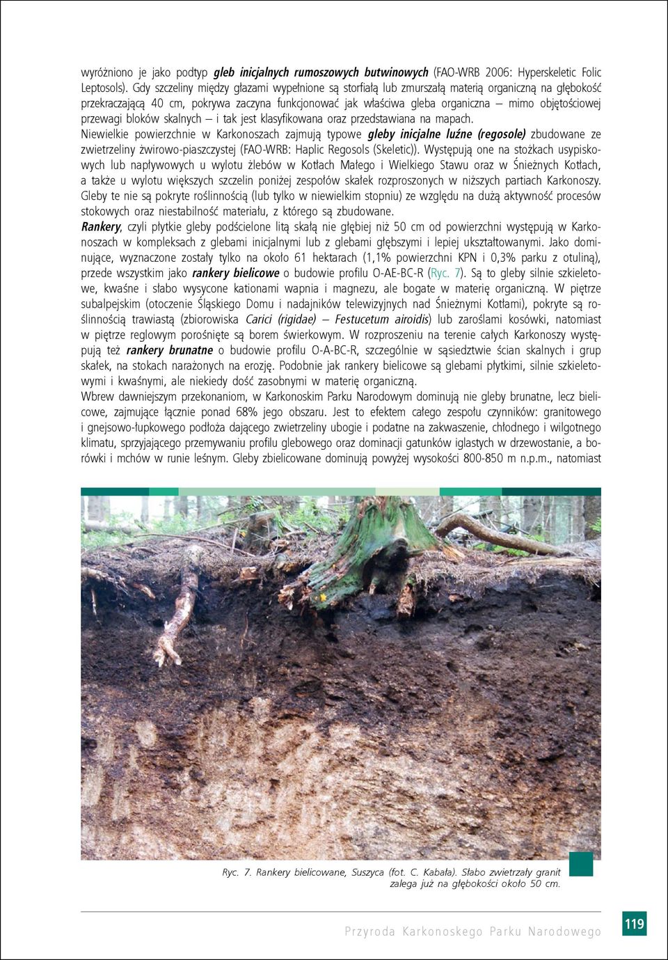 przewagi bloków skalnych i tak jest klasyfikowana oraz przedstawiana na mapach.