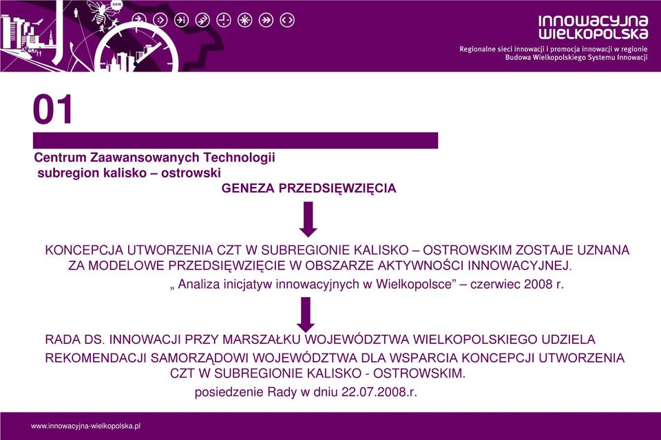 Analiza inicjatyw innowacyjnych w Wielkopolsce czerwiec 2008 r. RADA DS.