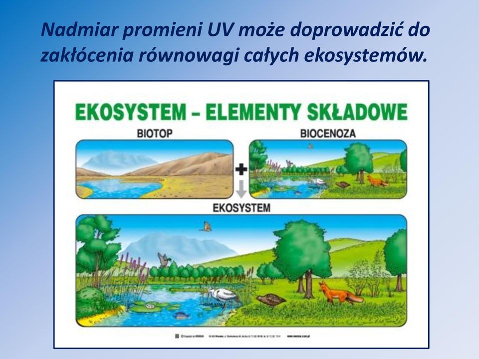 zakłócenia