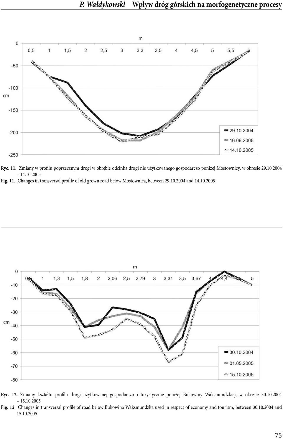 Changes in transversal profile of old grown road below Mostownica, between 29.10.2004 and 14.10.2005 Ryc. 12.
