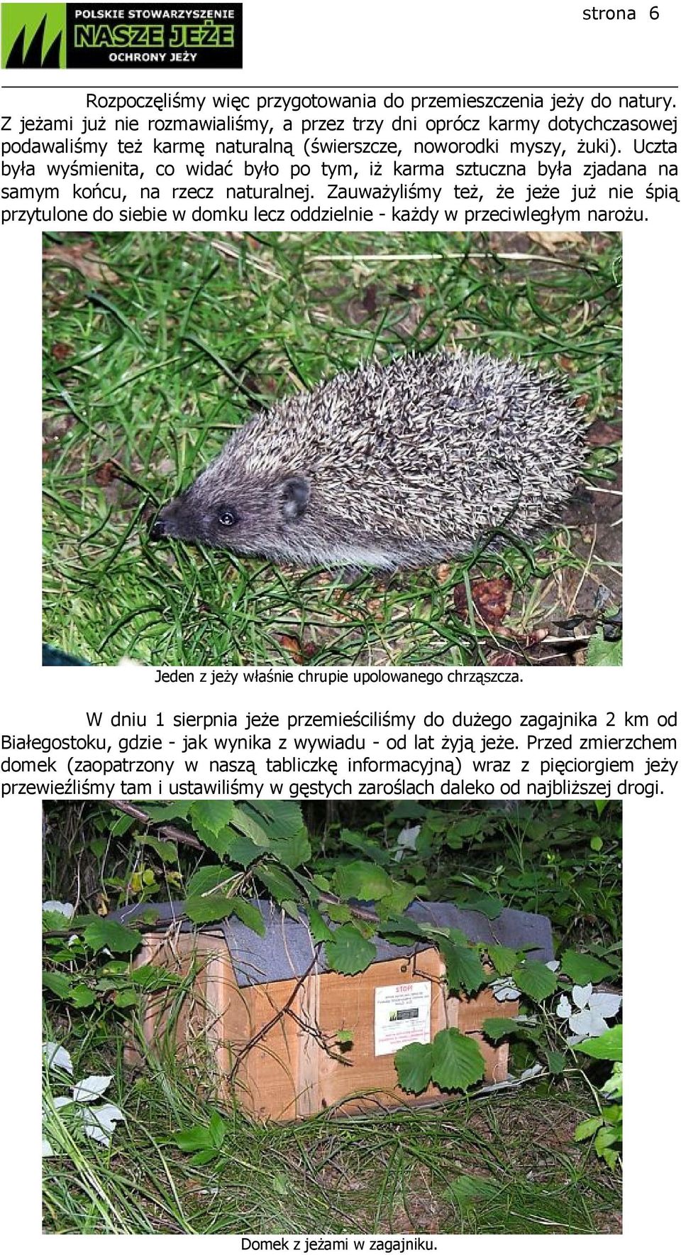 Uczta była wyśmienita, co widać było po tym, iż karma sztuczna była zjadana na samym końcu, na rzecz naturalnej.