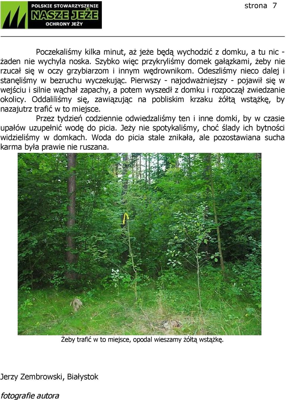 Pierwszy - najodważniejszy - pojawił się w wejściu i silnie wąchał zapachy, a potem wyszedł z domku i rozpoczął zwiedzanie okolicy.