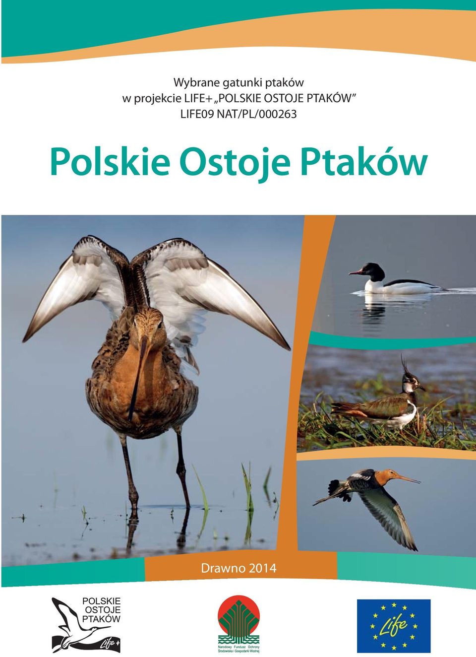 OSTOJE PTAKÓW LIFE09