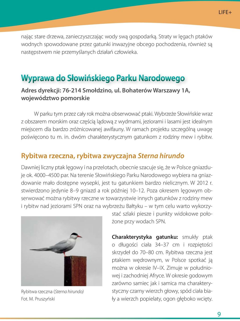 Bohaterów Warszawy 1A, województwo pomorskie W parku tym przez cały rok można obserwować ptaki.