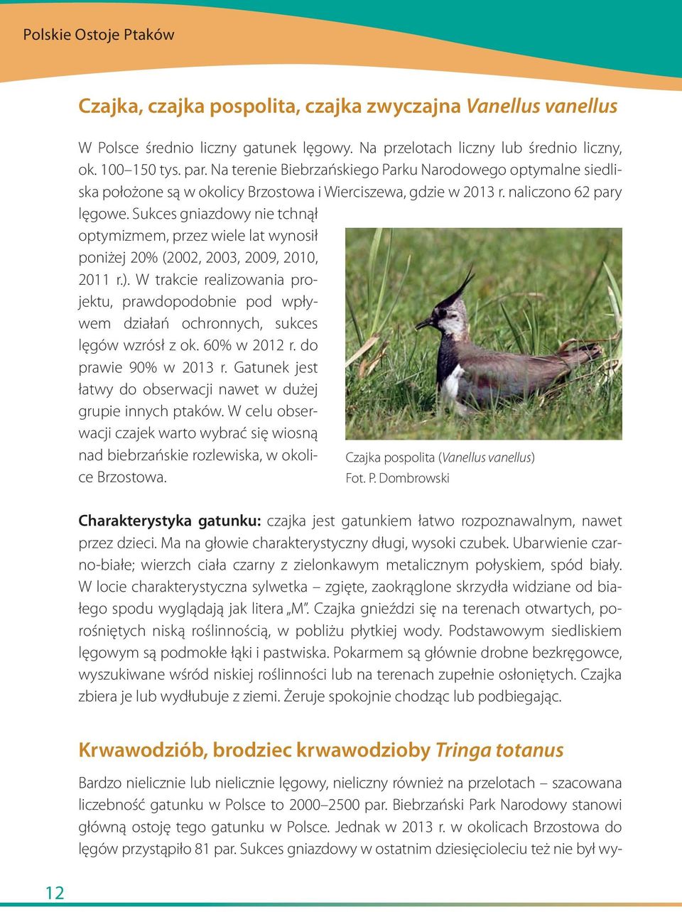 Sukces gniazdowy nie tchnął optymizmem, przez wiele lat wynosił poniżej 20% (2002, 2003, 2009, 2010, 2011 r.).
