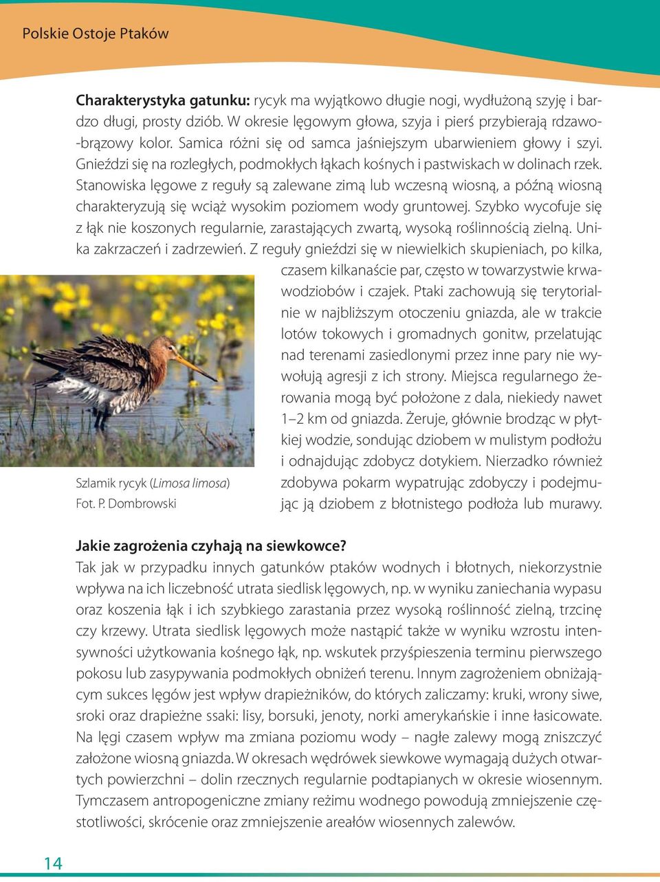 Gnieździ się na rozległych, podmokłych łąkach kośnych i pastwiskach w dolinach rzek.