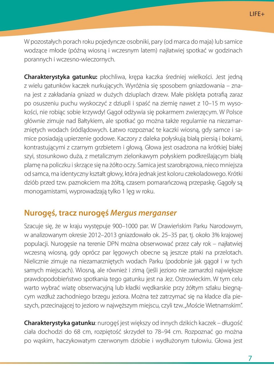 Wyróżnia się sposobem gniazdowania znana jest z zakładania gniazd w dużych dziuplach drzew.