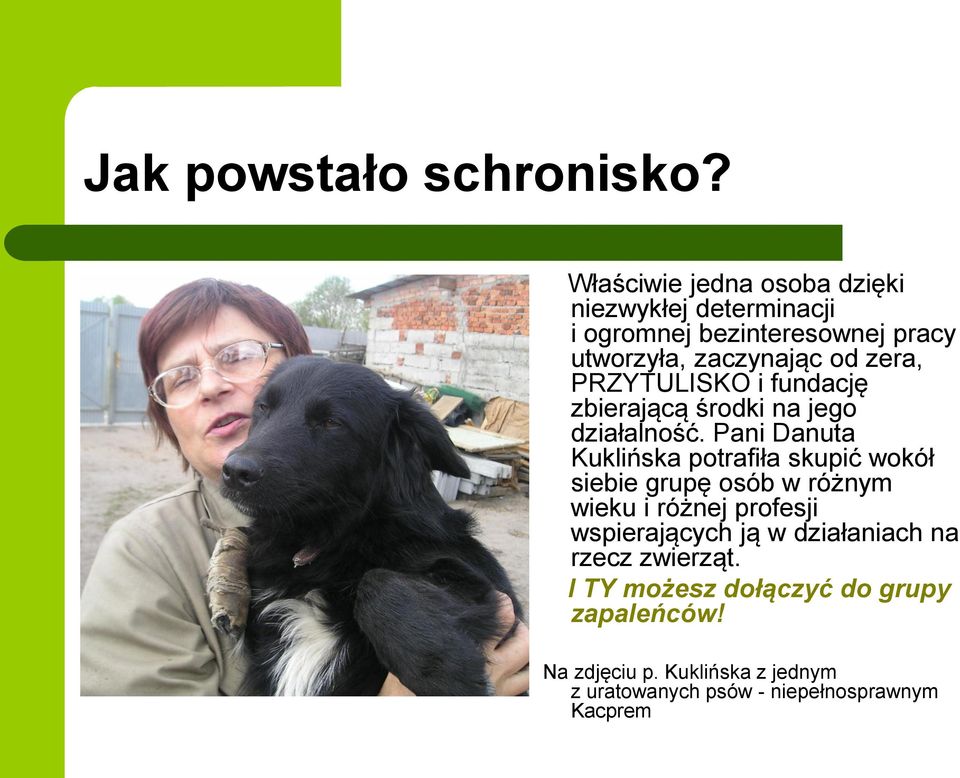 PRZYTULISKO i fundację zbierającą środki na jego działalność.