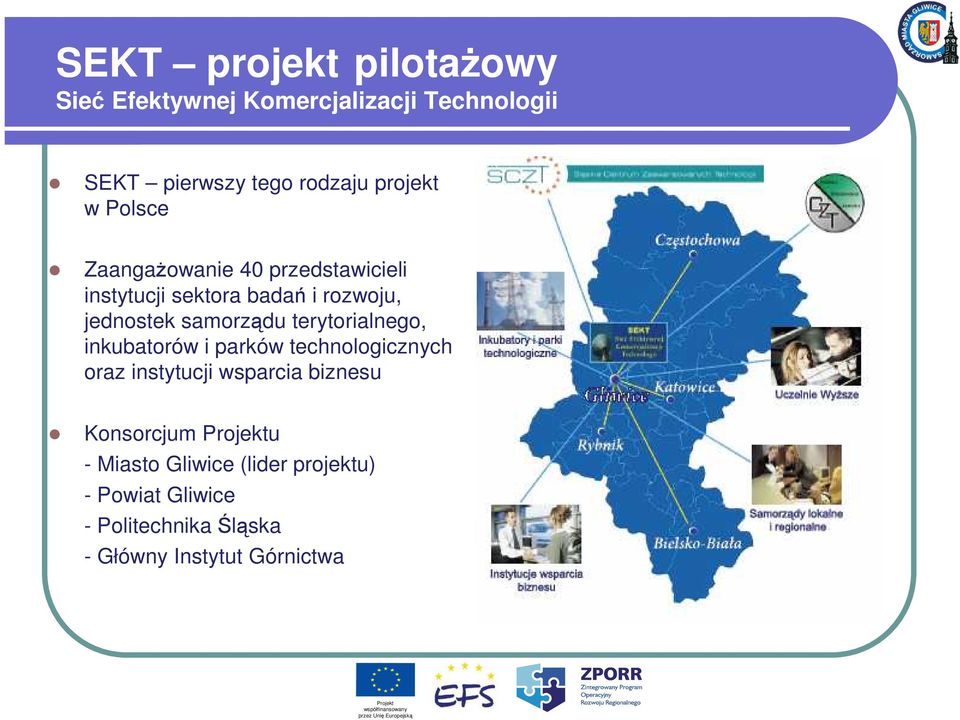 samorządu terytorialnego, inkubatorów i parków technologicznych oraz instytucji wsparcia biznesu