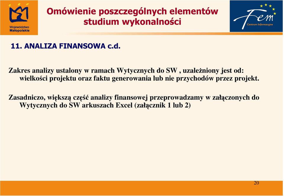 wielkości projektu oraz faktu generowania lub nie przychodów przez projekt.