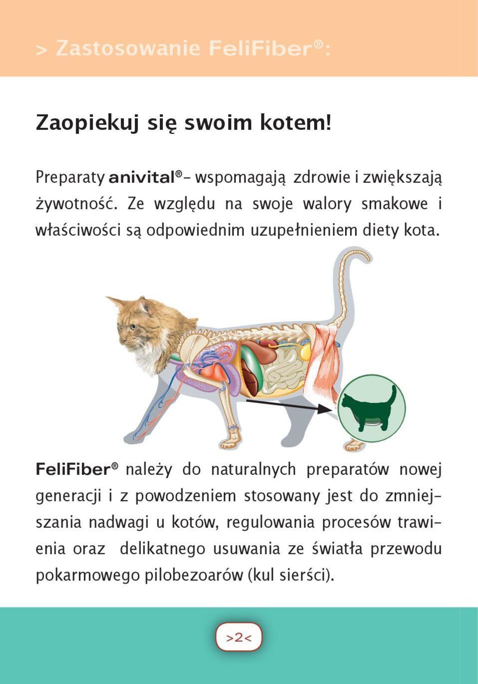 Ze względu na swoje walory smakowe i właściwości są odpowiednim uzupełnieniem diety kota.