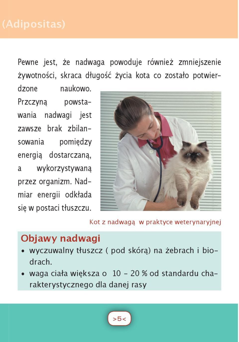 Przczyną powstawania nadwagi jest zawsze brak zbilansowania pomiędzy energią dostarczaną, a wykorzystywaną przez organizm.