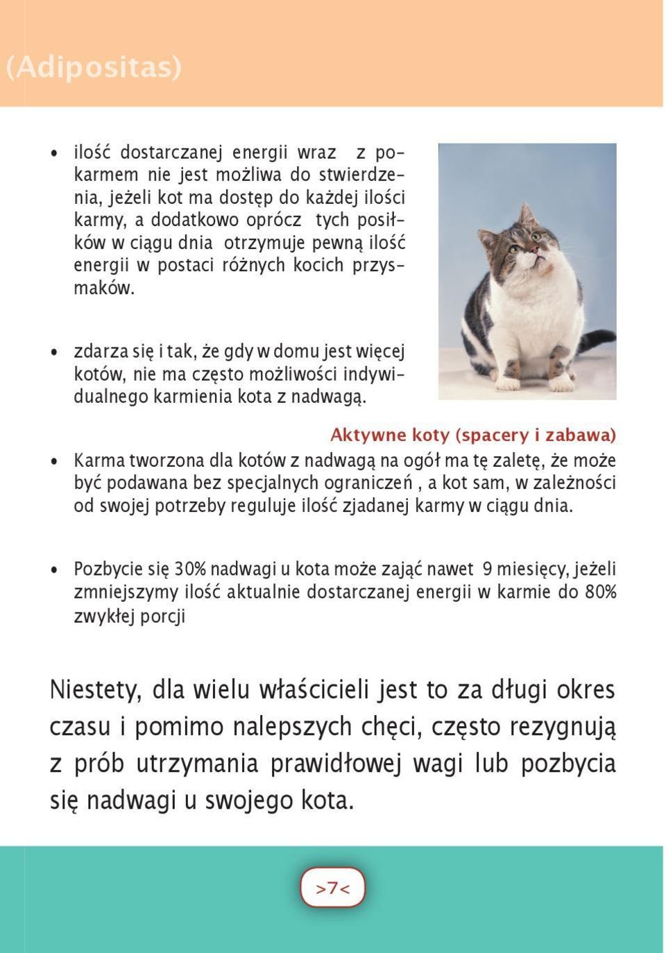 Aktywne koty (spacery i zabawa) Karma tworzona dla kotów z nadwagą na ogół ma tę zaletę, że może być podawana bez specjalnych ograniczeń, a kot sam, w zależności od swojej potrzeby reguluje ilość