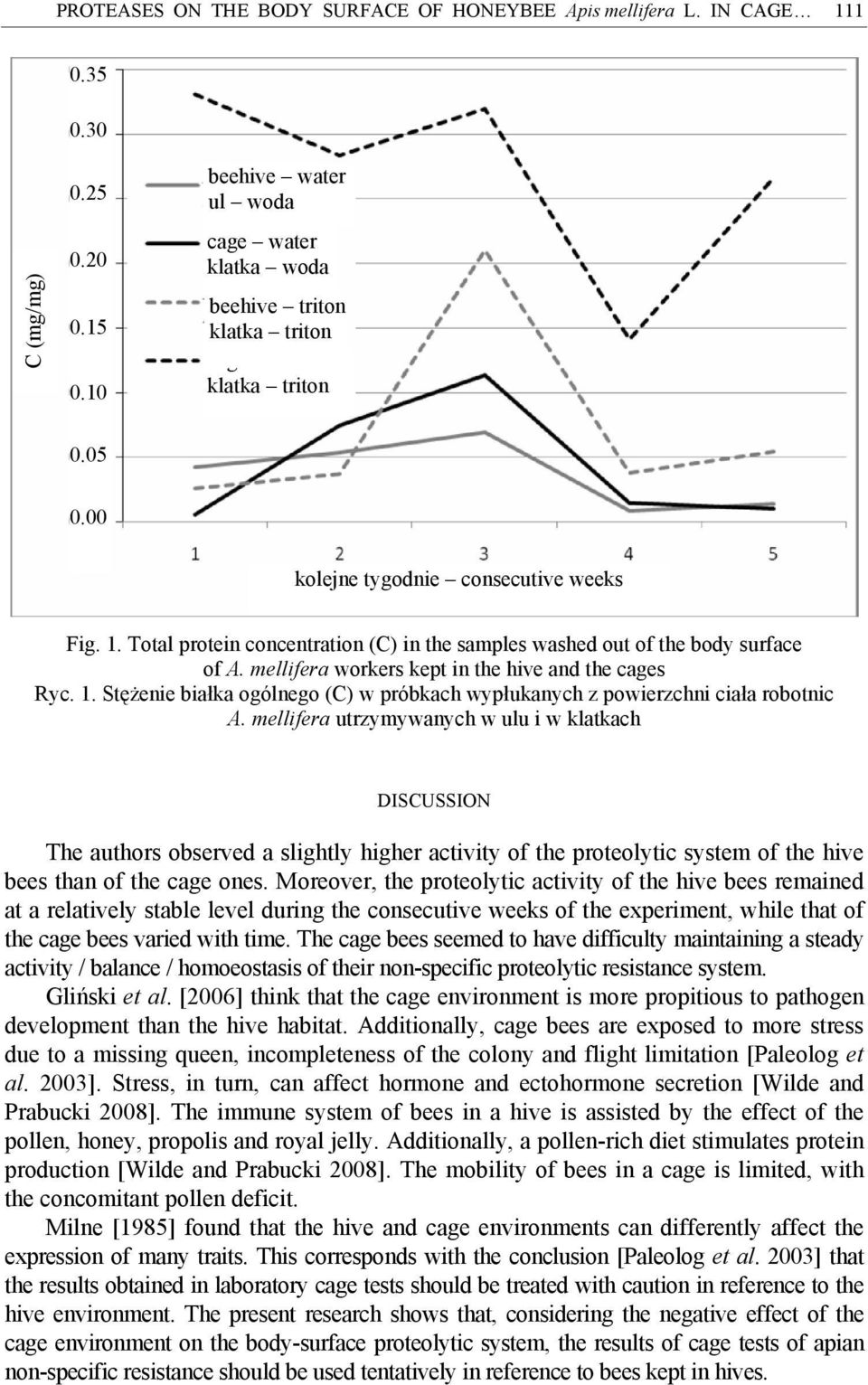 Total protein concentration (C) in the samples washed out of the body surface of A. mellifera workers kept in the hive and the cages Ryc. 1.