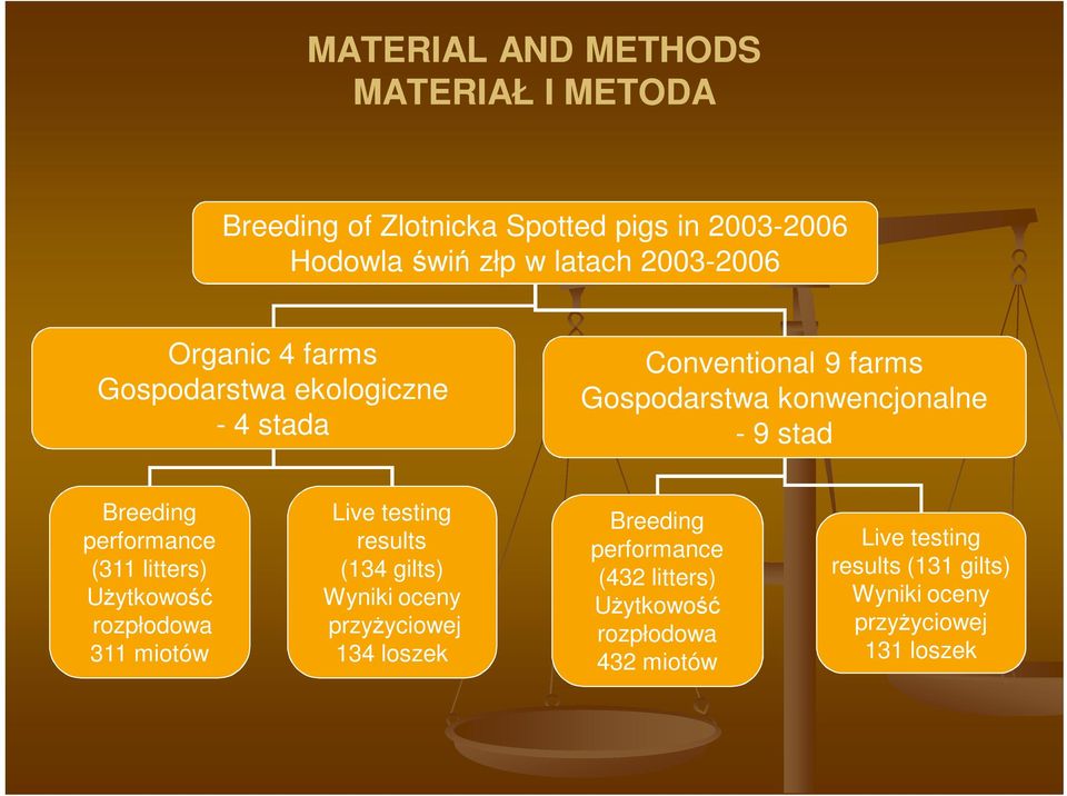 performance (311 litters) UŜytkowość rozpłodowa 311 miotów Live testing results (134 gilts) Wyniki oceny przyŝyciowej 134