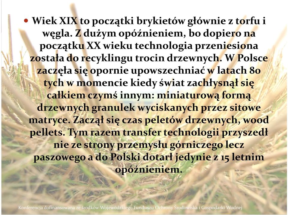 W Polsce zaczęła się opornie upowszechniać w latach 80 tych w momencie kiedy świat zachłysnął się całkiem czymś innym: miniaturową formą drzewnych granulek