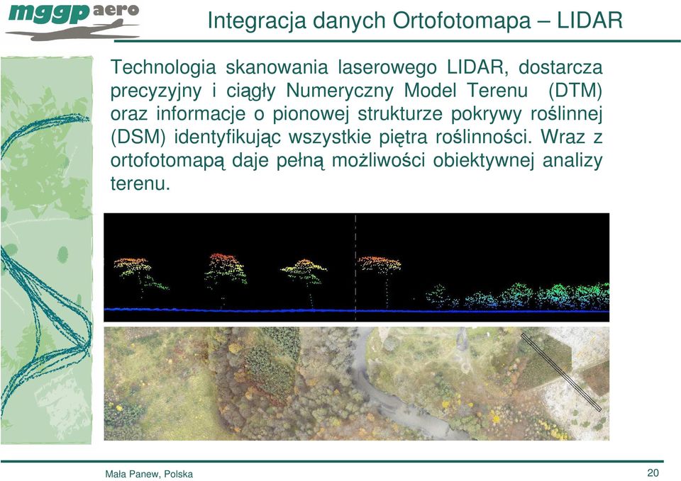 pionowej strukturze pokrywy roślinnej (DSM) identyfikując wszystkie piętra