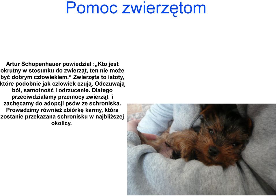 Odczuwają ból, samotność i odrzucenie.