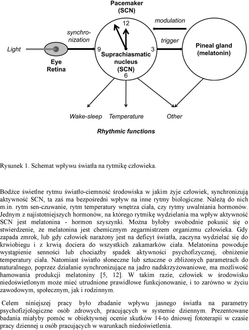e rytmy biologiczne. Należą do nich m.in. rytm sen-czuwanie, rytm temperatury wnętrza ciała, czy rytmy uwalniania hormonów.