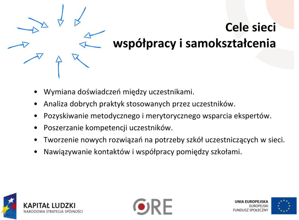 Pozyskiwanie metodycznego i merytorycznego wsparcia ekspertów.