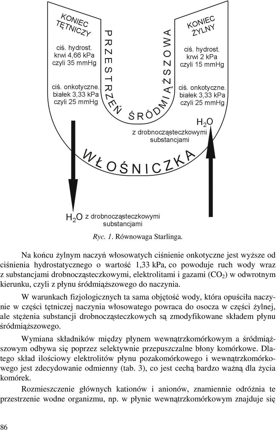 gazami (CO 2 ) w odwrotnym kierunku, czyli z płynu śródmiąŝszowego do naczynia.