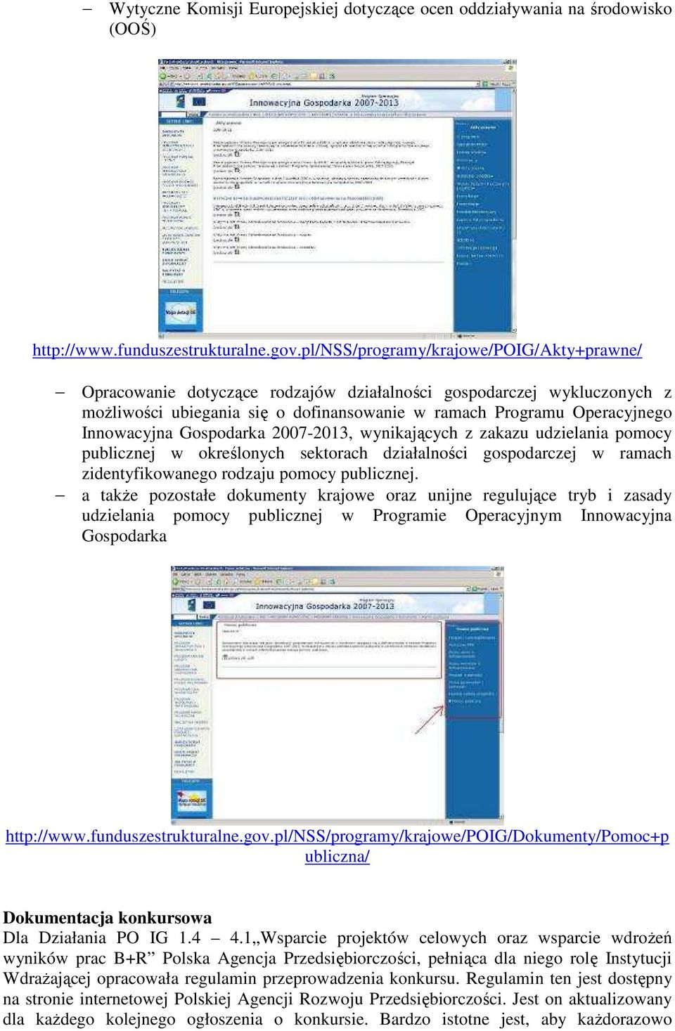 Gospodarka 2007-2013, wynikających z zakazu udzielania pomocy publicznej w określonych sektorach działalności gospodarczej w ramach zidentyfikowanego rodzaju pomocy publicznej.