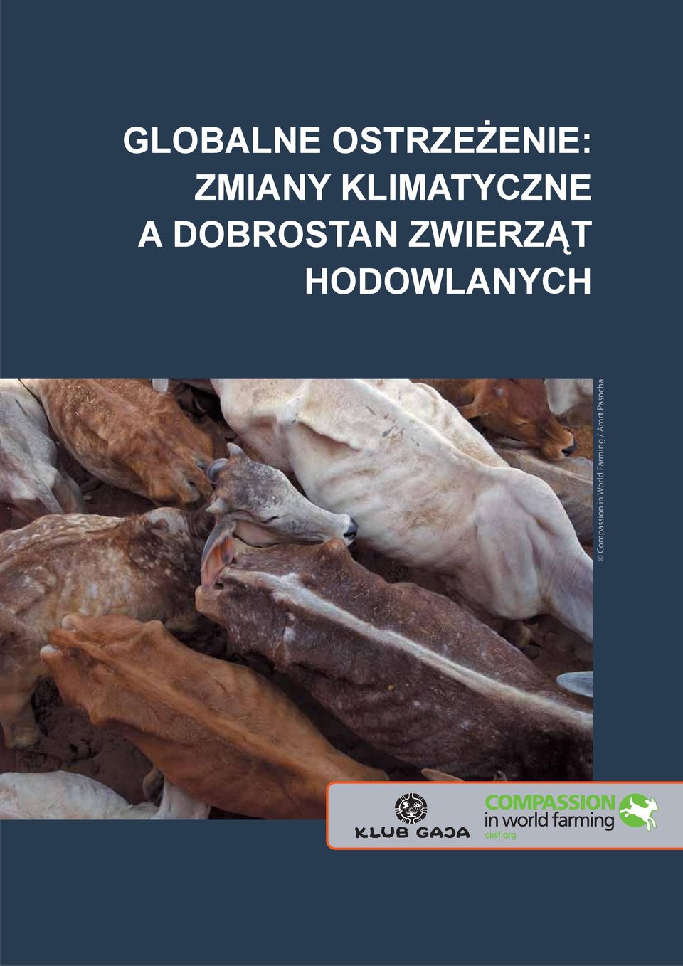 ZWIERZĄT HODOWLANYCH