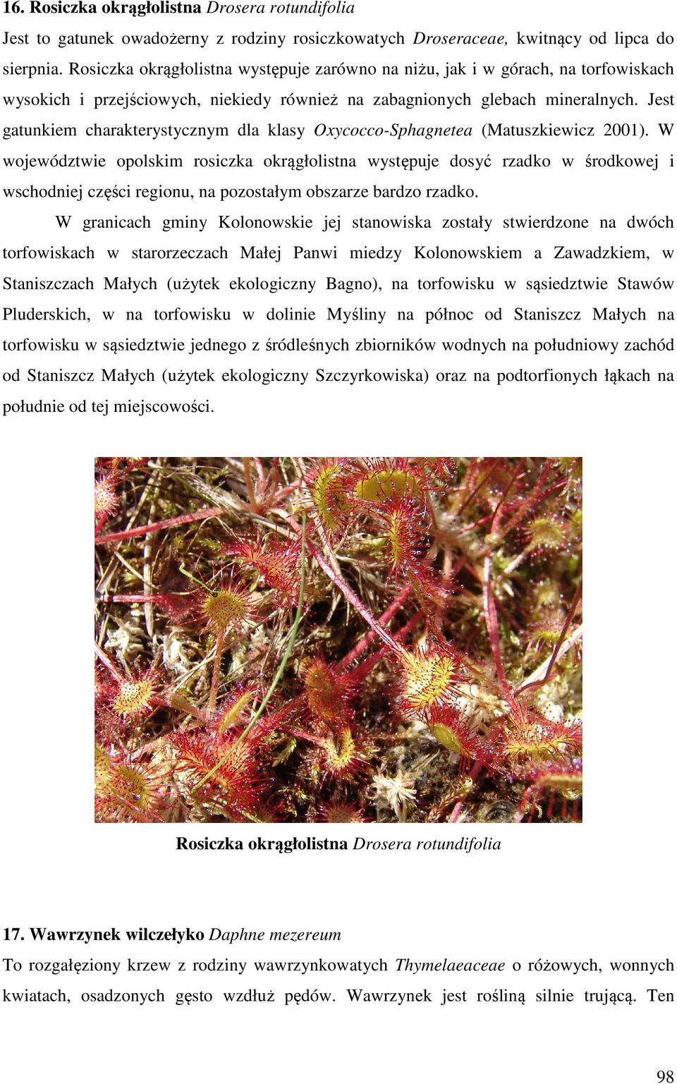 Jest gatunkiem charakterystycznym dla klasy Oxycocco-Sphagnetea (Matuszkiewicz 2001).