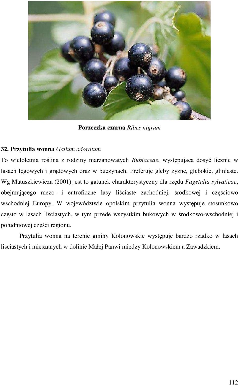 Preferuje gleby żyzne, głębokie, gliniaste.
