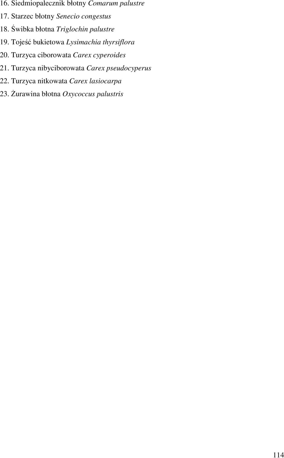 Tojeść bukietowa Lysimachia thyrsiflora 20. Turzyca ciborowata Carex cyperoides 21.