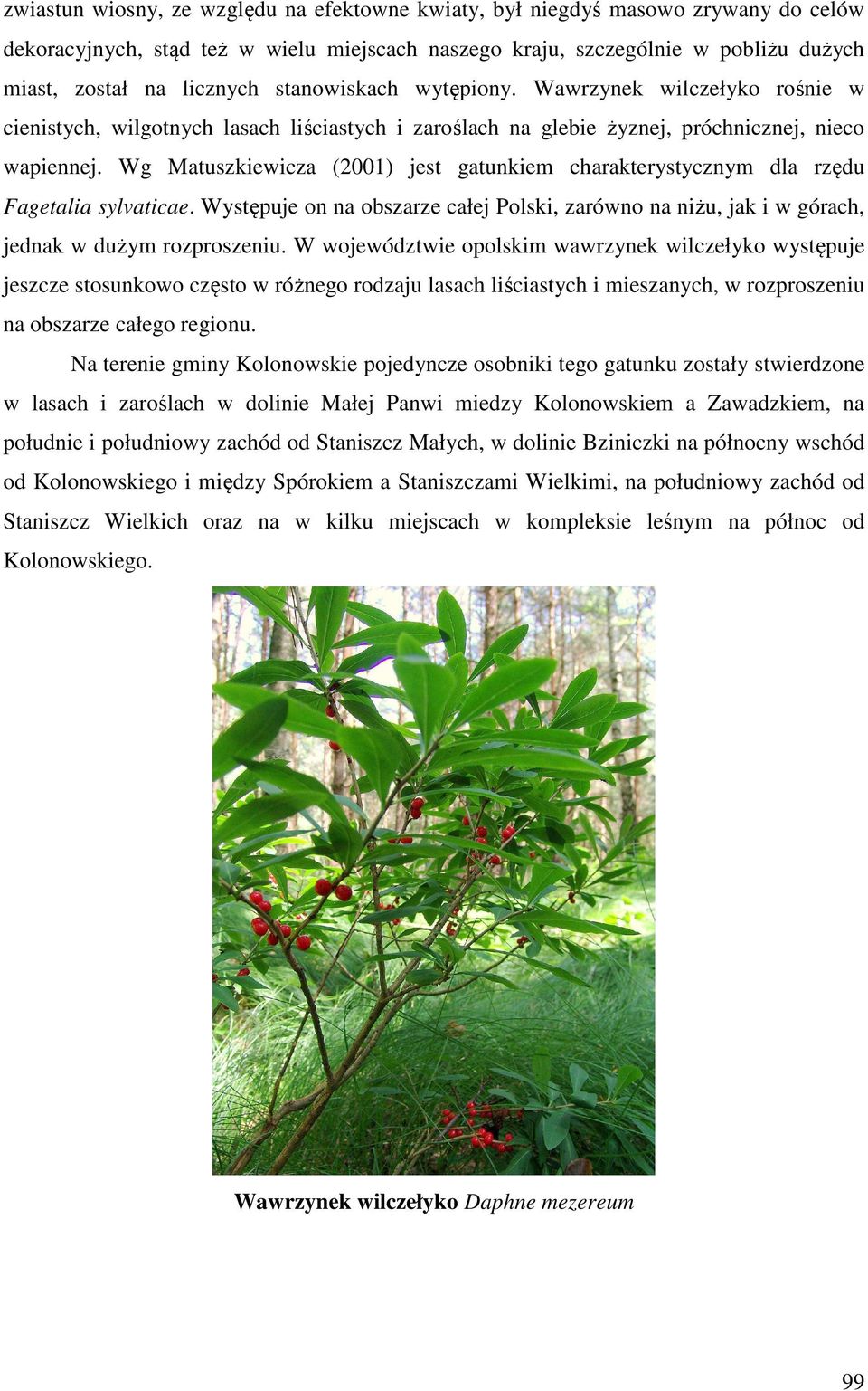 Wg Matuszkiewicza (2001) jest gatunkiem charakterystycznym dla rzędu Fagetalia sylvaticae. Występuje on na obszarze całej Polski, zarówno na niżu, jak i w górach, jednak w dużym rozproszeniu.