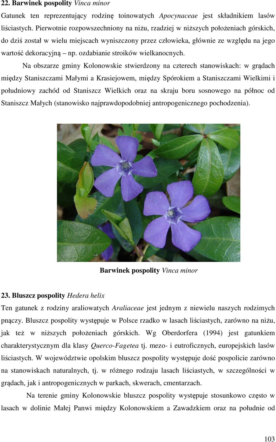 ozdabianie stroików wielkanocnych.