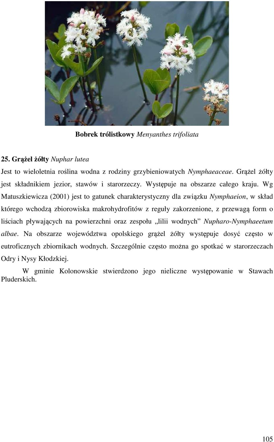Wg Matuszkiewicza (2001) jest to gatunek charakterystyczny dla związku Nymphaeion, w skład którego wchodzą zbiorowiska makrohydrofitów z reguły zakorzenione, z przewagą form o liściach