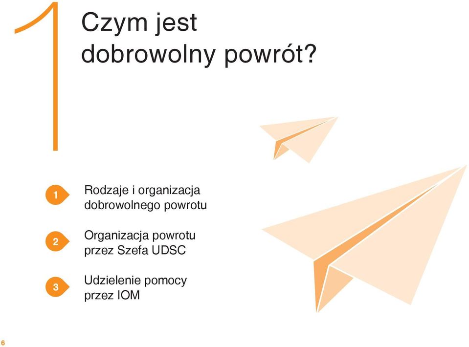 dobrowolnego powrotu Organizacja