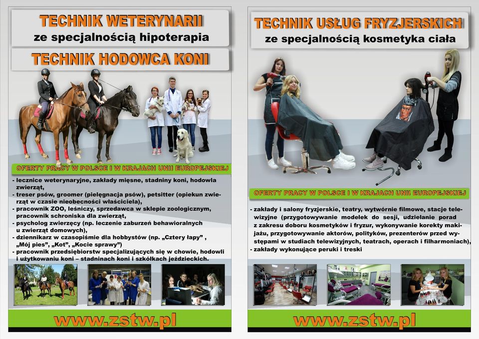 dla zwierząt, - psycholog zwierzęcy (np. leczenie zaburzeń behawioralnych u zwierząt domowych), - dziennikarz w czasopiśmie dla hobbystów (np.