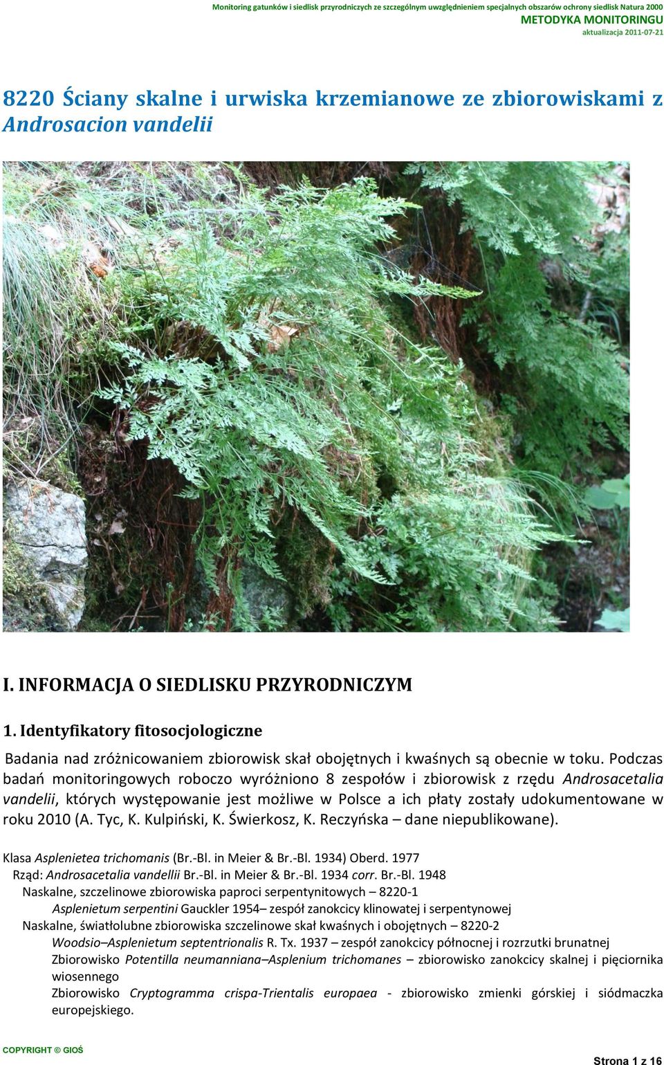 Podczas badań monitoringowych roboczo wyróżniono 8 zespołów i zbiorowisk z rzędu Androsacetalia vandelii, których występowanie jest możliwe w Polsce a ich płaty zostały udokumentowane w roku 2010 (A.