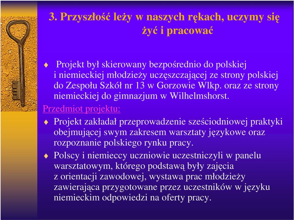 Przedmiot projektu: Projekt zakładał przeprowadzenie sześciodniowej praktyki obejmującej swym zakresem warsztaty językowe oraz rozpoznanie polskiego rynku pracy.