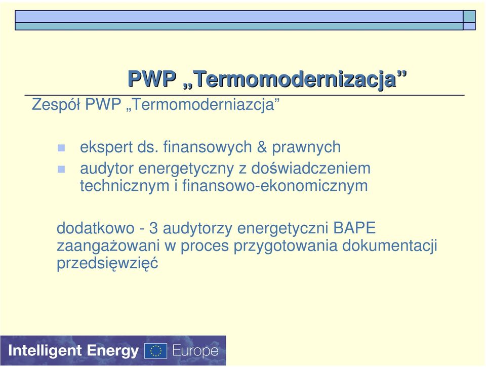 technicznym i finansowo-ekonomicznym dodatkowo - 3 audytorzy