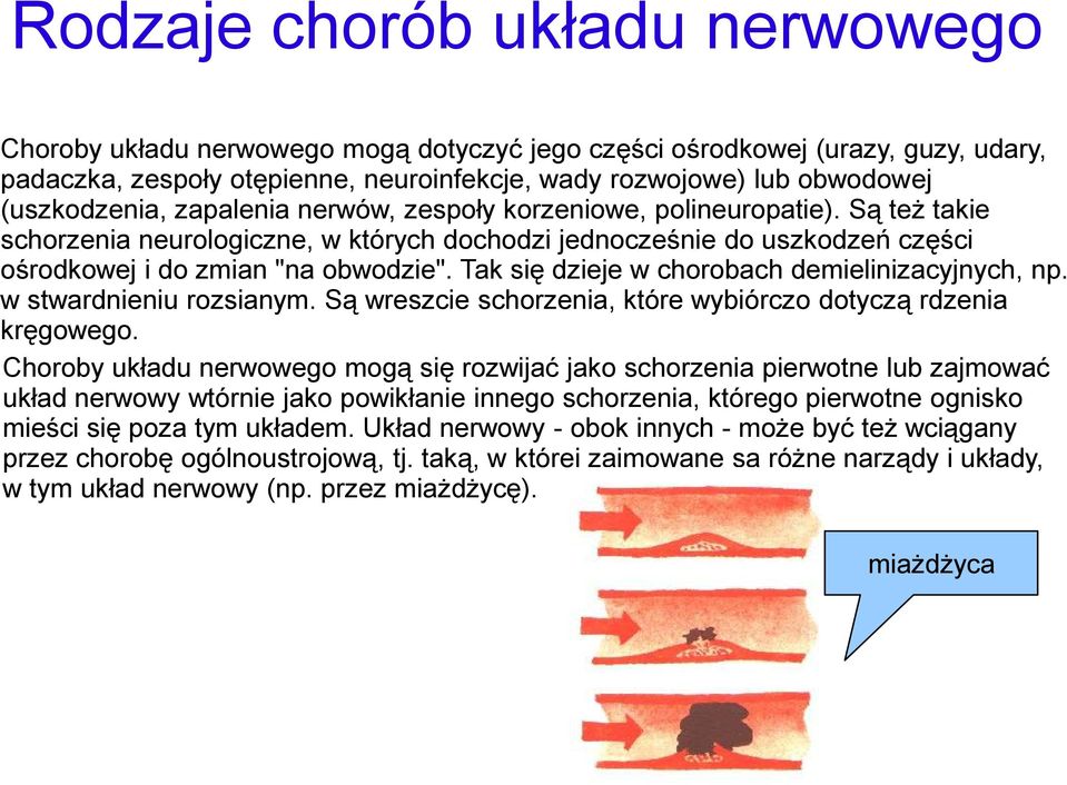 Tak się dzieje w chorobach demielinizacyjnych, np. w stwardnieniu rozsianym. Są wreszcie schorzenia, które wybiórczo dotyczą rdzenia kręgowego.